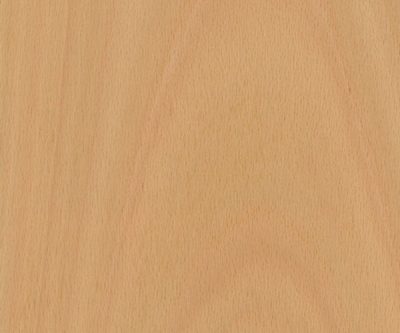 FSC-Crown-Cut-Steamed-Beech_veneer_from_Shadbolt