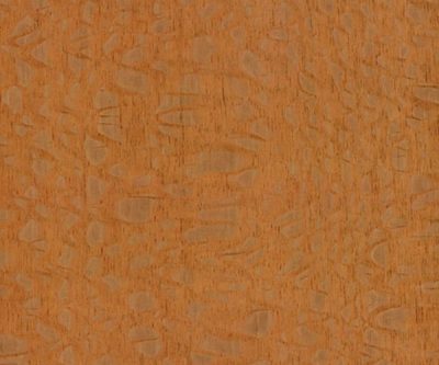 FSC-Silky-Oak_veneer_from_Shadbolt