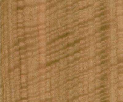 FSC-Straight-Grain-Figured-Eucalyptus_veneer_from_Shadbolt