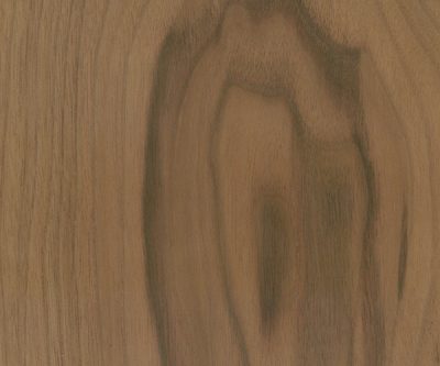 FSC® Crown Cut Sap Walnut veneer